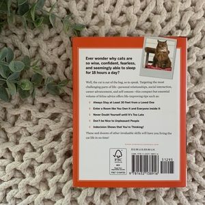 You Need More Sleep Accents - You Need More Sleep - Advice From Cats Book You Need More Sleep Accents - You Need More Sleep - Advice From Cats Book